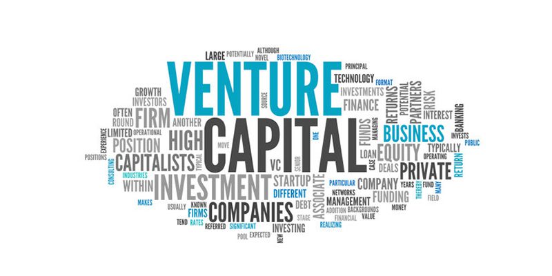 legal entity of venture capital company