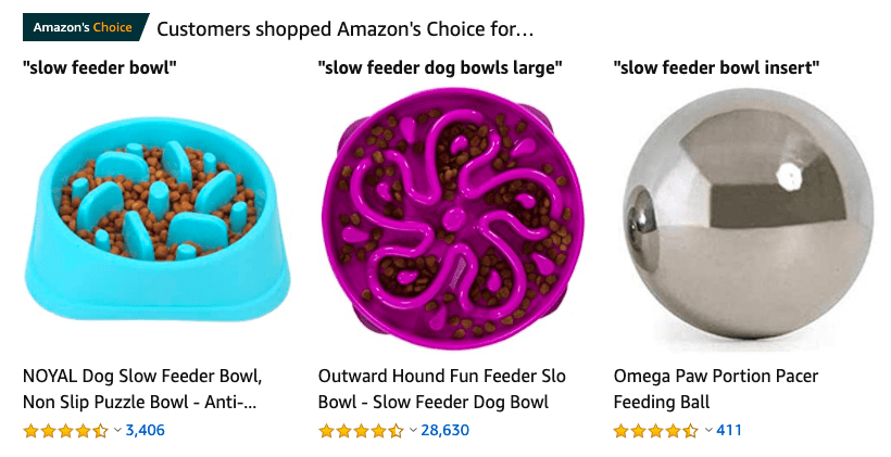 trending slow feeder bowls