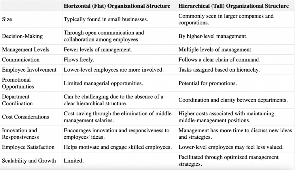 Horizontal Flat Vs Hierarchical Tall Organizational Structure   Horizontal Flat Vs Hierarchical Tall Organizational Structure Differences 1024x591 