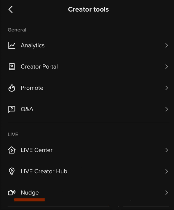 nudge in tiktok